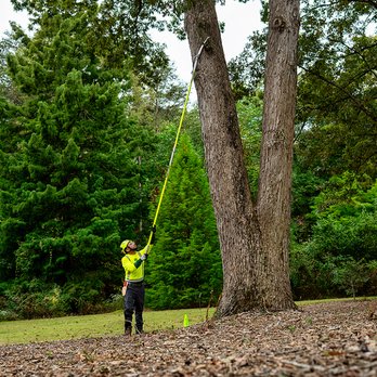 Bartlett Tree Experts - Tree Services Near Me - Mesa, Arizona Bartlett Tree Experts - Tree Services Near Me - Mesa, Arizona