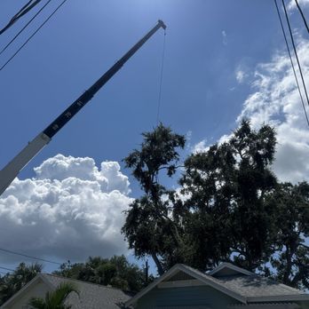 St Pete Tree Service - Tree Services Near Me St Pete Tree Service - Tree Services Near Me