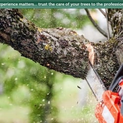 National Tree Service