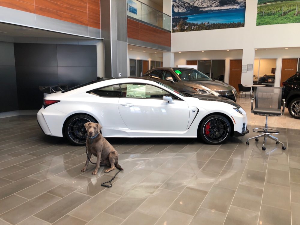 PLEASANTON AUTO MALL Updated September 2024 4341 Rosewood Dr, Pleasanton, California Car