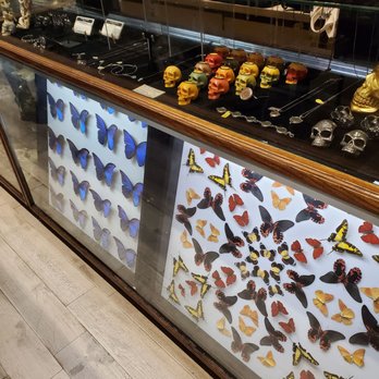 The Evolution Store - Home Decor Near Me - New York, New York