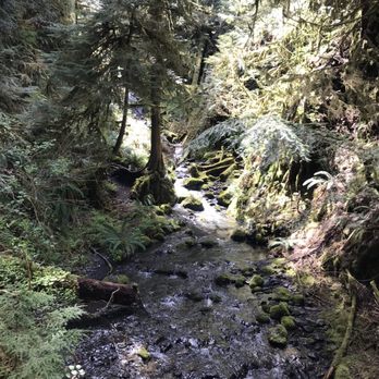 Marymere Falls - Hiking Near Me - Port Angeles, Washington Marymere Falls - Hiking Near Me - Port Angeles, Washington
