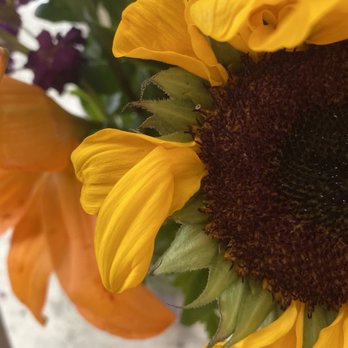 T D Florist Design & Gift - Florists Near Me - Highlands Ranch, Colorado T D Florist Design & Gift - Florists Near Me - Highlands Ranch, Colorado