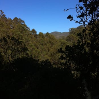 San Pedro Valley Park - Brooks trail. - Parks Near Me - Pacifica, California San Pedro Valley Park - Brooks trail. - Parks Near Me - Pacifica, California