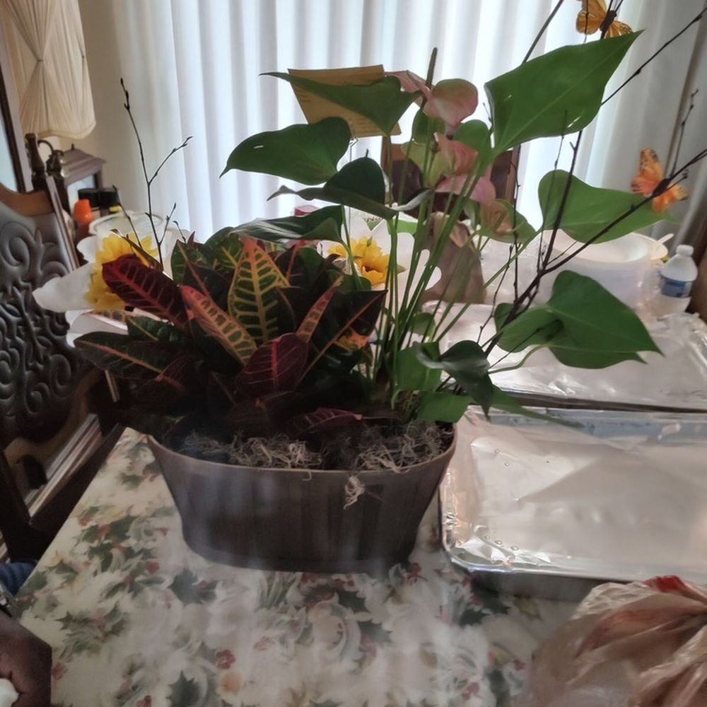 Beyond The Vine Flowers and Home Decor - Floral arrangement purchased Beyond The Vine. Staff very courteous, helpful and a timely delivery. - Home Decor Near Me - Omaha, Nebraska