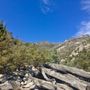 Photo of La Madre Mountain Wilderness