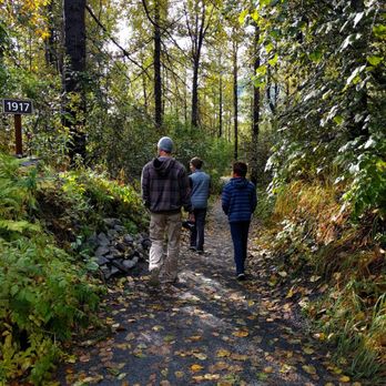 Exit Glacier and Harding Icefield Trail - Beautiful walk to the glacier - Hiking Near Me - Seward, Alaska