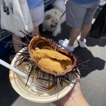 Captain Jack's - Fresh Uni (Sea Urchin) - Caterers Near Me