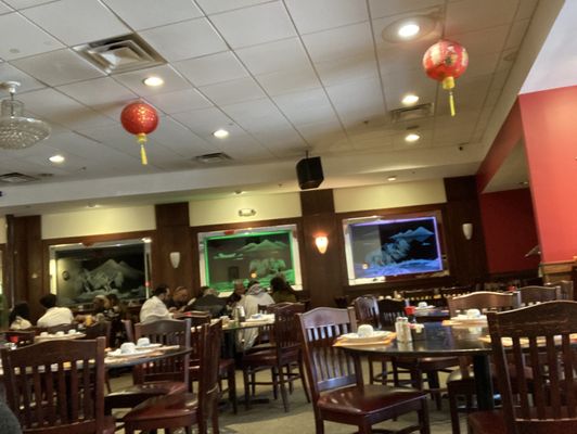 Silver Fountain by null