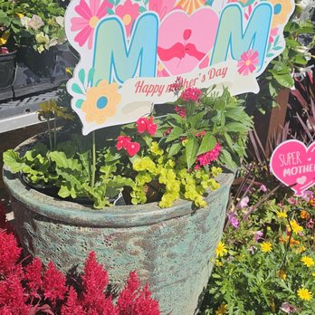 Pat's Nursery - Nurseries & Gardening Near Me - Fleming Island, Florida Pat's Nursery - Nurseries & Gardening Near Me - Fleming Island, Florida