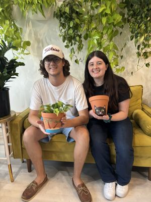 The Botanical Bar by null