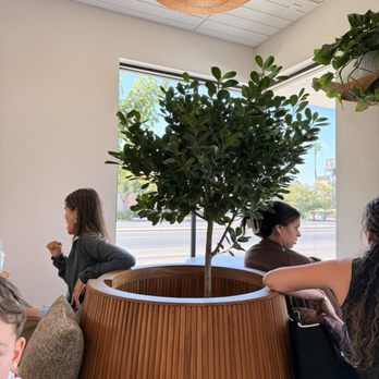Rumi Coffee - Coffee & Tea Near Me - Fresno, California Rumi Coffee - Coffee & Tea Near Me - Fresno, California