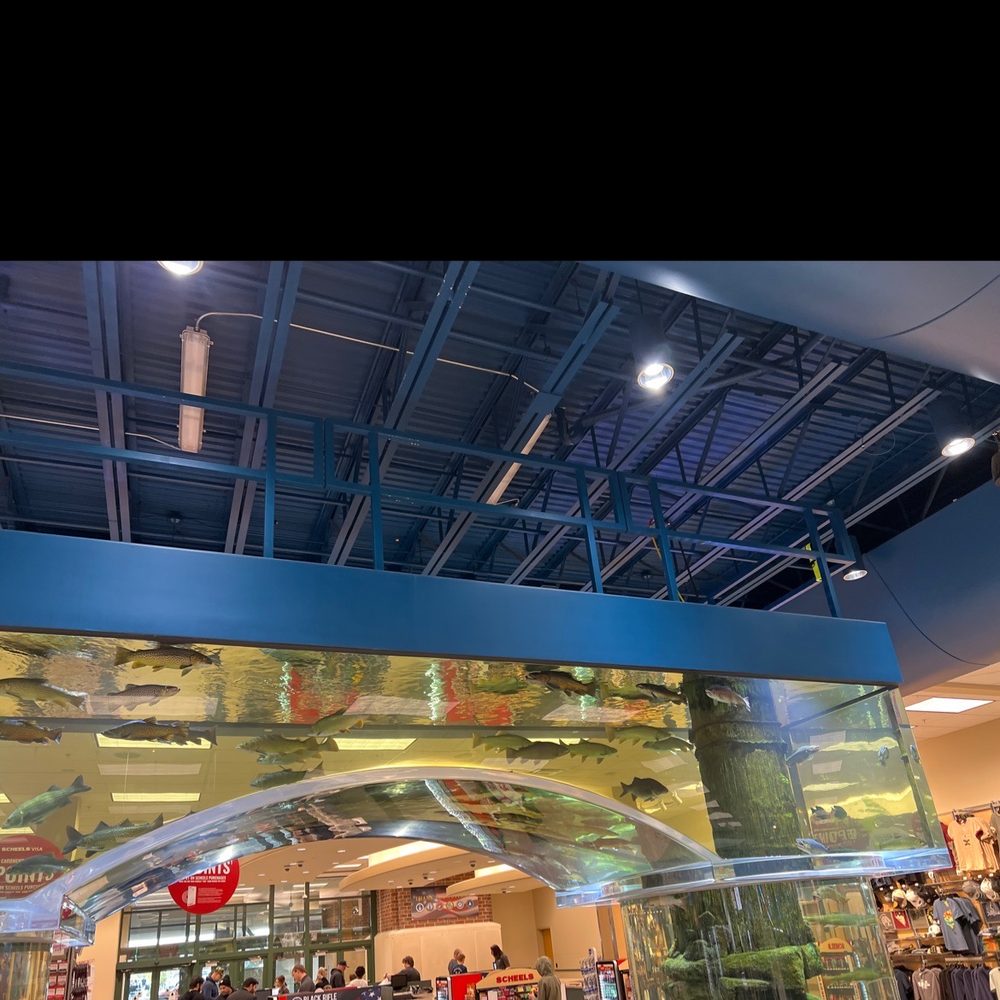 Scheels - Aquarium - Sports Wear Near Me - Sparks, Nevada Scheels - Aquarium - Sports Wear Near Me - Sparks, Nevada