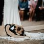 Photo of Love is Love Wedding Officiants