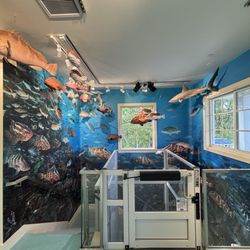 Reef Ocean Exploration Center - Explore a dramatic sculpture of an endangered Nassau Grouper gathering, and learn about underwater technology used to protect them.
