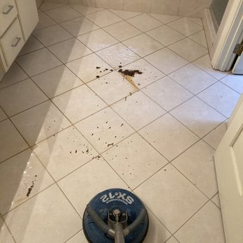 Phoenix Cleaning Solutions - Carpet Cleaning Near Me - Raleigh, North Carolina Phoenix Cleaning Solutions - Carpet Cleaning Near Me - Raleigh, North Carolina