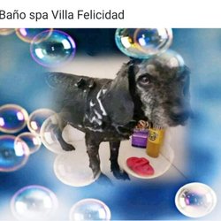 Villa Felicidad
