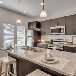 Lex Apartments