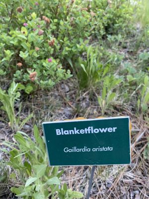 UC Davis Tahoe City Field Station by null