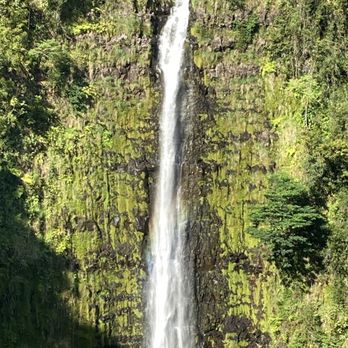Akaka Falls State Park - Parks Near Me - Honomu, Hawaii Akaka Falls State Park - Parks Near Me - Honomu, Hawaii