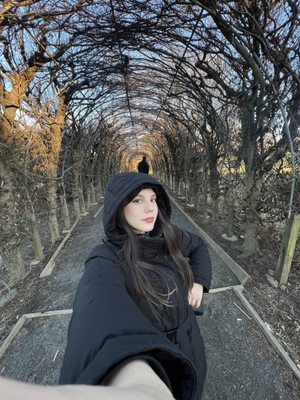 New York Chinese Scholar's Garden, Snug Harbor Cultural Center by null