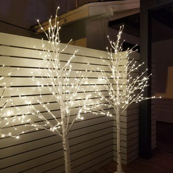 Byblos - The delightful lighted trees - Mediterranean Near Me - Tampa, Florida