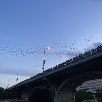 Capital Cruises - The bats - Boat Charters Near Me - Austin, Texas