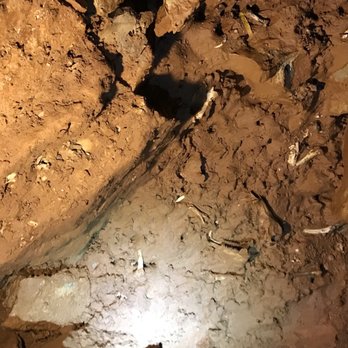 Indiana Caverns - 10k plus year old bones - Ziplining Near Me - Corydon, Indiana Indiana Caverns - 10k plus year old bones - Ziplining Near Me - Corydon, Indiana