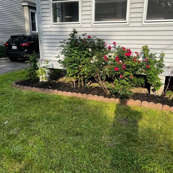 Clearly Blue Cleaning - Home Cleaning Near Me - Rochester, New York Clearly Blue Cleaning - Home Cleaning Near Me - Rochester, New York