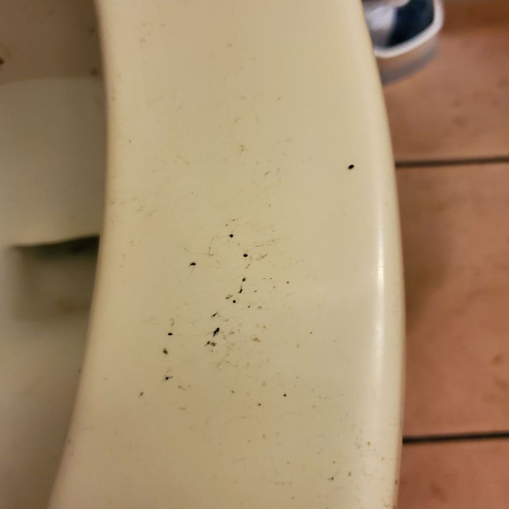 LongHorn Steakhouse - Dirty toilet... - Steakhouses Near Me - Cumming, Georgia LongHorn Steakhouse - Dirty toilet... - Steakhouses Near Me - Cumming, Georgia