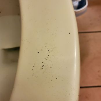 LongHorn Steakhouse - Dirty toilet... - Steakhouses Near Me - Cumming, Georgia LongHorn Steakhouse - Dirty toilet... - Steakhouses Near Me - Cumming, Georgia