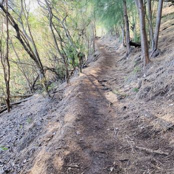Kuliouou Ridge Trail - Hiking Near Me - Honolulu, Hawaii Kuliouou Ridge Trail - Hiking Near Me - Honolulu, Hawaii