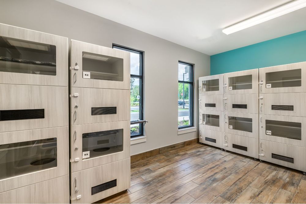 Pet Paradise Pooler - pet boarding facility in Pooler, GA