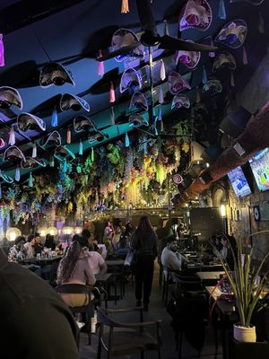 Little Tijuana by null