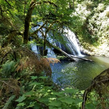 Silver Falls State Park - Hiking Near Me - Sublimity, Oregon Silver Falls State Park - Hiking Near Me - Sublimity, Oregon