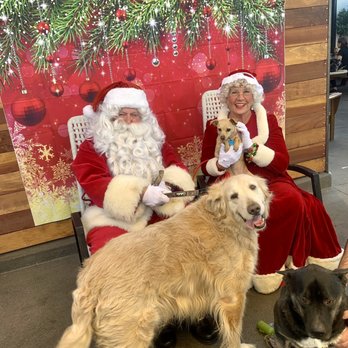 The Hills Pub - Our 3 pack loved their pics with Santa - Pubs Near Me - La Mesa, California The Hills Pub - Our 3 pack loved their pics with Santa - Pubs Near Me - La Mesa, California