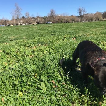 Bates Nut Farm - Maybe your dog will convert to Vegan - Specialty Food Near Me - Valley Center, California Bates Nut Farm - Maybe your dog will convert to Vegan - Specialty Food Near Me - Valley Center, California