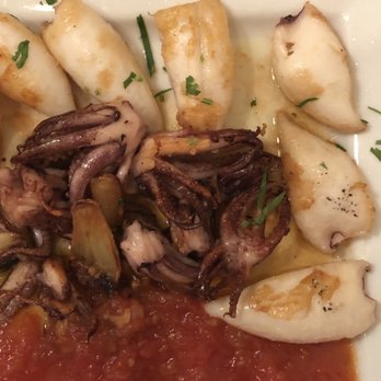 Marbella Restaurant - Baby grilled calamari - Spanish Near Me - Bayside, New York Marbella Restaurant - Baby grilled calamari - Spanish Near Me - Bayside, New York