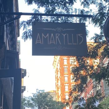 Amaryllis - A beautiful Art Nouveau sign! - A rectangular sign with the word 'Amaryllis' is suspended above a city street, surrounded by trees and buildings, with a tall brick building in the background. - American Near Me - Providence, Rhode Island