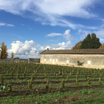 Château de Monbazillac - vineyards Chateau de Monbazillac - Museums Near Me - Monbazillac, 24