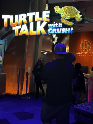 Turtle Talk with Crush by null