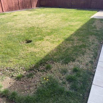 ShrubGator - Before - Irrigation Near Me - Menifee, California ShrubGator - Before - Irrigation Near Me - Menifee, California