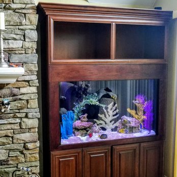 Aquarium Network - 110 gallon in Wantagh NY - Aquarium Services Near Me - Bellmore, New York