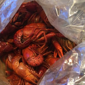 Crawdad Hole - Crawfish - Cajun/Creole Near Me - Jackson, Mississippi