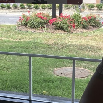 KFC - Dead flies - Fast Food Near Me - Kingstree, South Carolina KFC - Dead flies - Fast Food Near Me - Kingstree, South Carolina