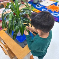 Pinnacle Montessori of Sachse