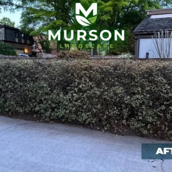 Murson Landscape - Landscaping Near Me Murson Landscape - Landscaping Near Me