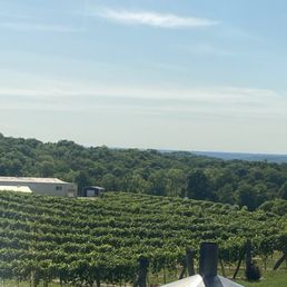 From the dining room looking over the vineyard From the dining room looking over the vineyard