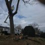 Photo of Rocky Top Tree Service & Landscaping