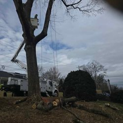 Rocky Top Tree Service & Landscaping